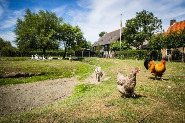 Vakantiewoning - Kon. Emmaweg 26 | Vrouwenpolder 'Uitspanning Oranjezon' Exteriér fotografie