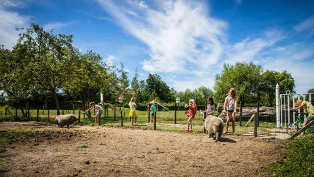 Vakantiewoning - Kon. Emmaweg 26 | Vrouwenpolder 'Uitspanning Oranjezon' Exteriér fotografie